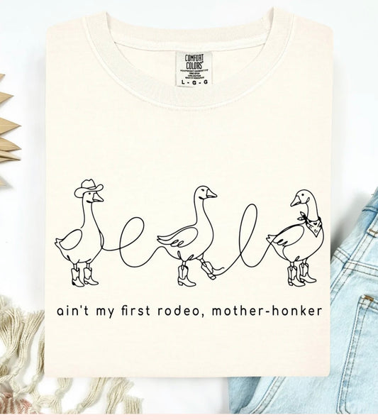 Aint First Rode Tee